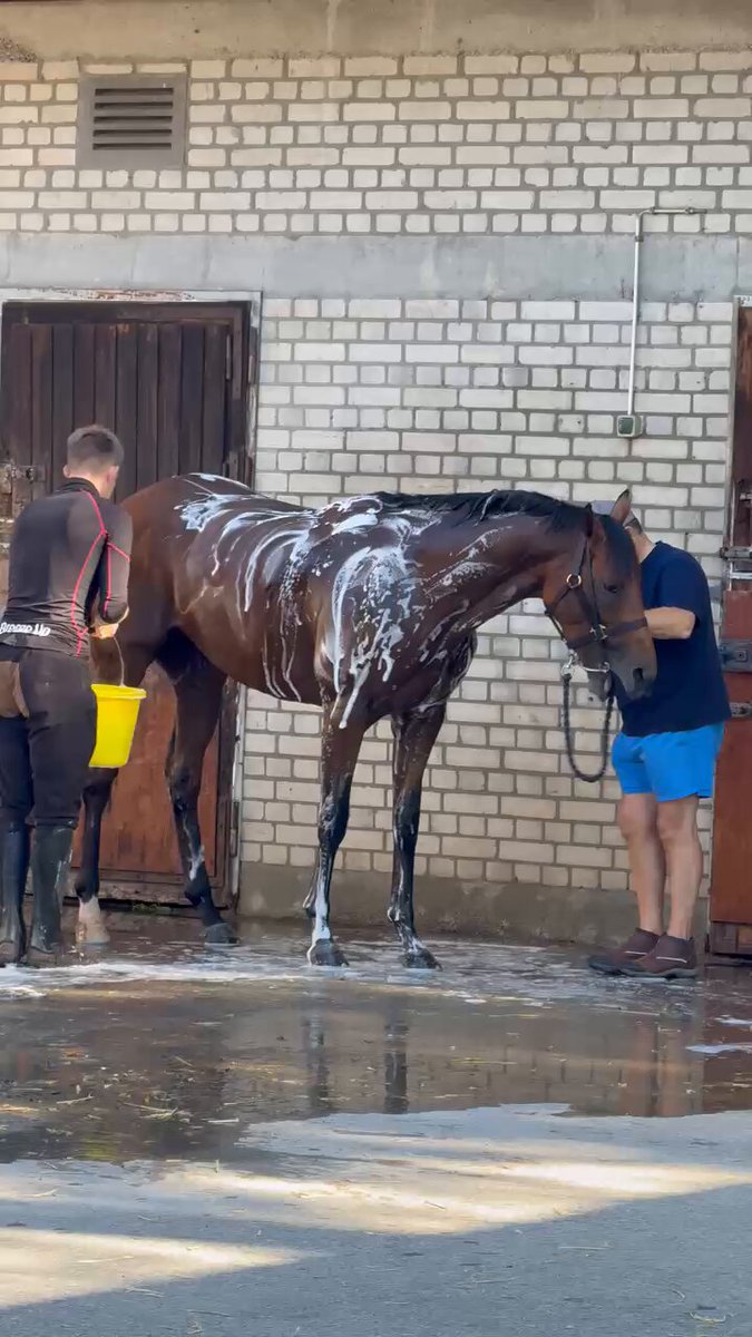RT by @wettstar_de: RT by @wettstar_de: Hotazhell so relaxed 24 hours prior the group 1 (Großer Dallmayr Preis 2026) @Jessica_Racing @DeutscherGalopp @GaloppMuenchen @WorldPool