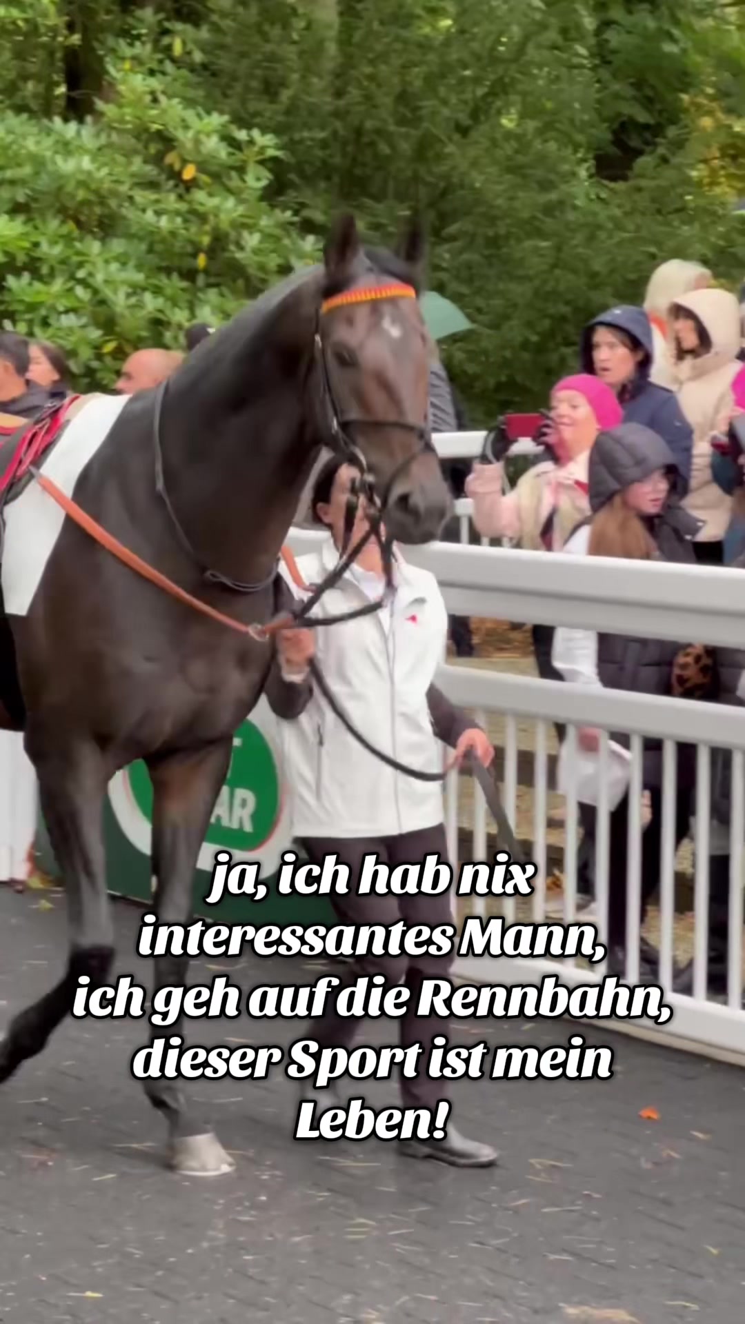 Dieser Sport ist unser Leben - was soll man machen 🤷🏼‍♀️ #pferderennen #galopp #sport #pferde #spass