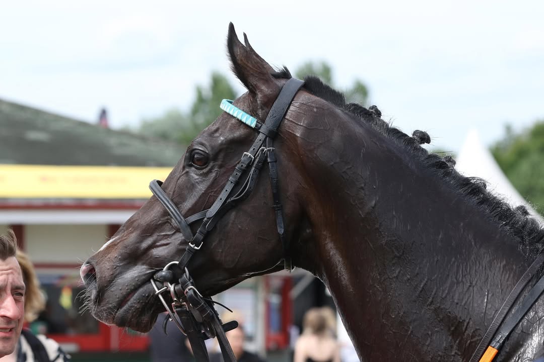 Er hat in der noch jungen Saison schon eine erfolgreiche Bilanz vorzuweisen...