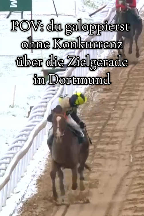 Ob Siegjockey Miki Cadeddu dabei wirklich gesungen hat, bleibt wohl ein Geheimnis zwischen ihm und dem Wallach PRIMO VIOLETTO… 😄 #jockey #viral #fyp #...