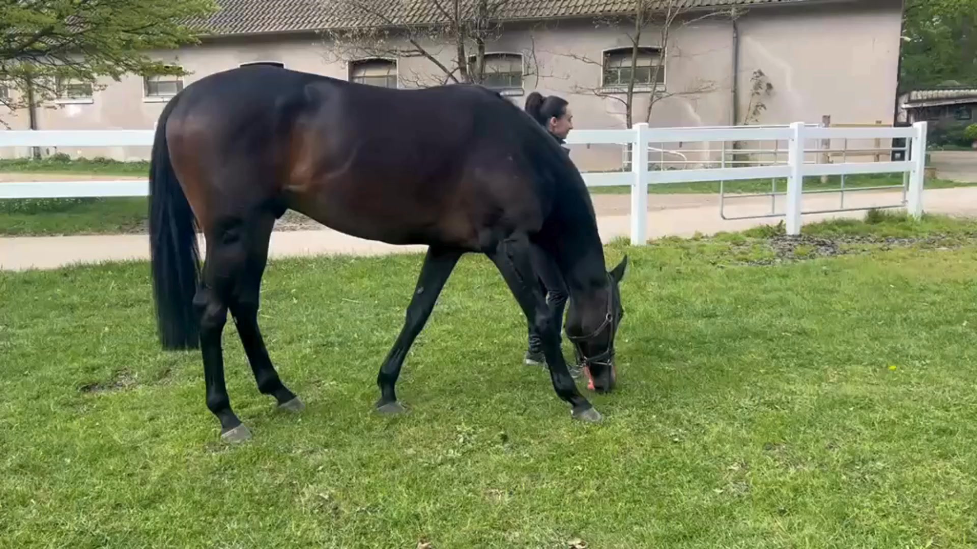 Am Sonntag steht mit der Kalkmann-Frühjahrsmeile das erste Gruppe-Rennen der Saison an...