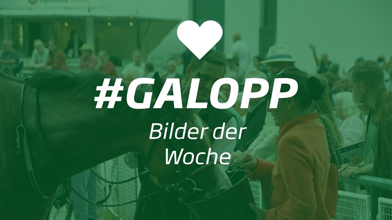 Die Bilder der Woche #galopp KW32