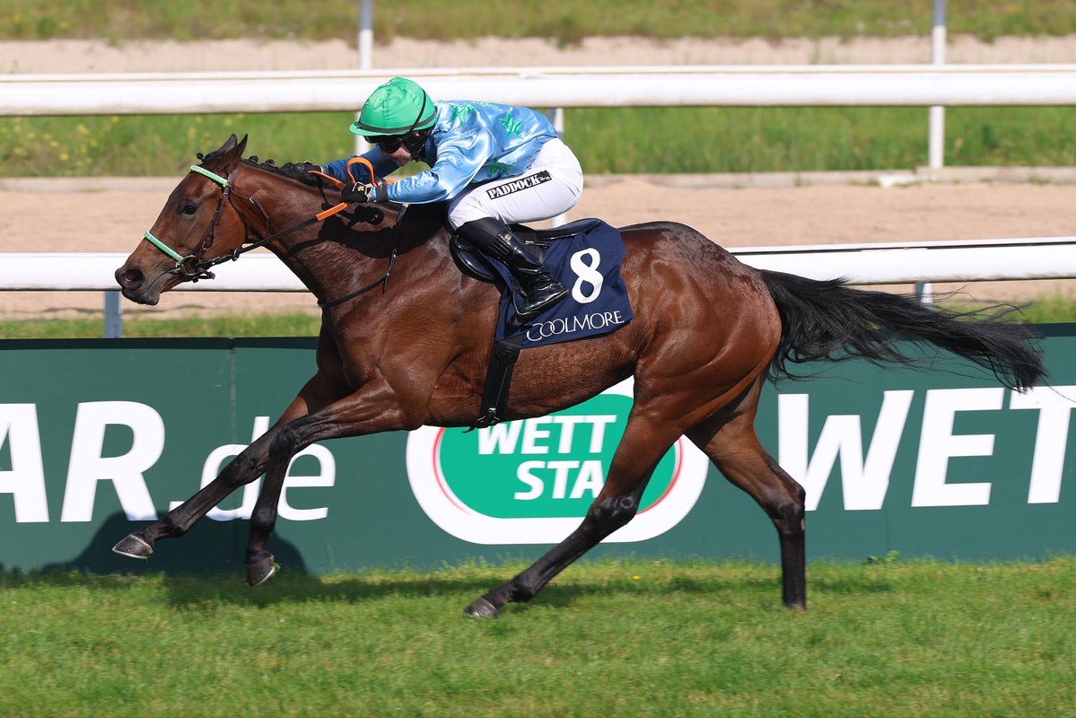 Zum ersten Galopp-Klassiker 2026 in Köln präsentiert WETTSTAR die Dreierwetten-Bonuspyramide. Alle Infos hier: https://wettstar-pferdewetten.de/page/bonusaction

#german #2000guineas #bonus #wettstar #cologne @KRV1897