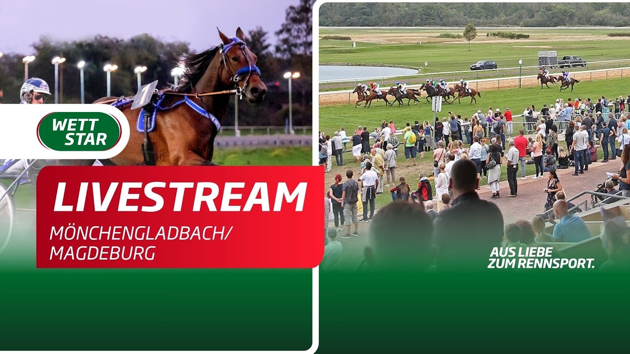 Livestream 14.05. Magdeburg/Mönchengladbach Teil II