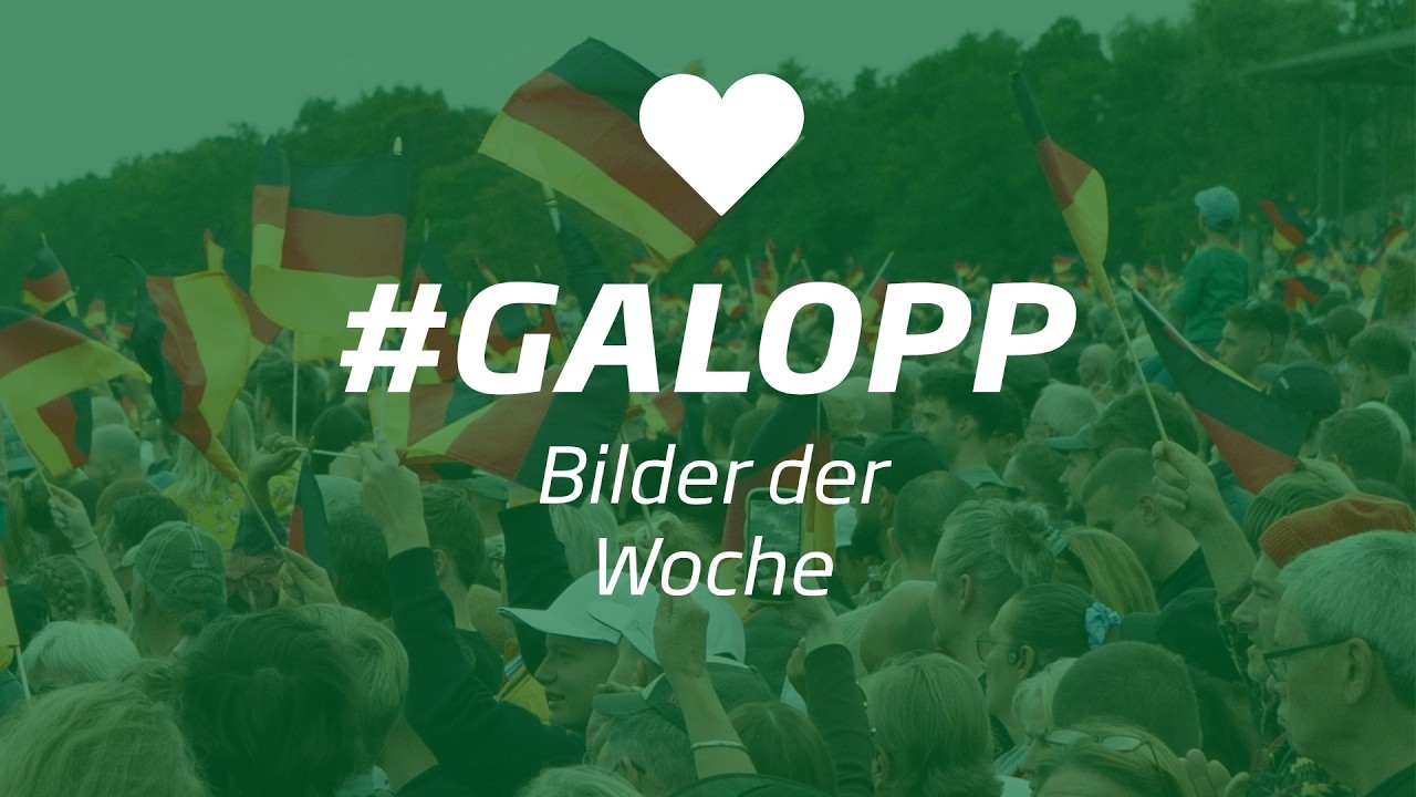 Die Bilder der Woche #galopp KW41