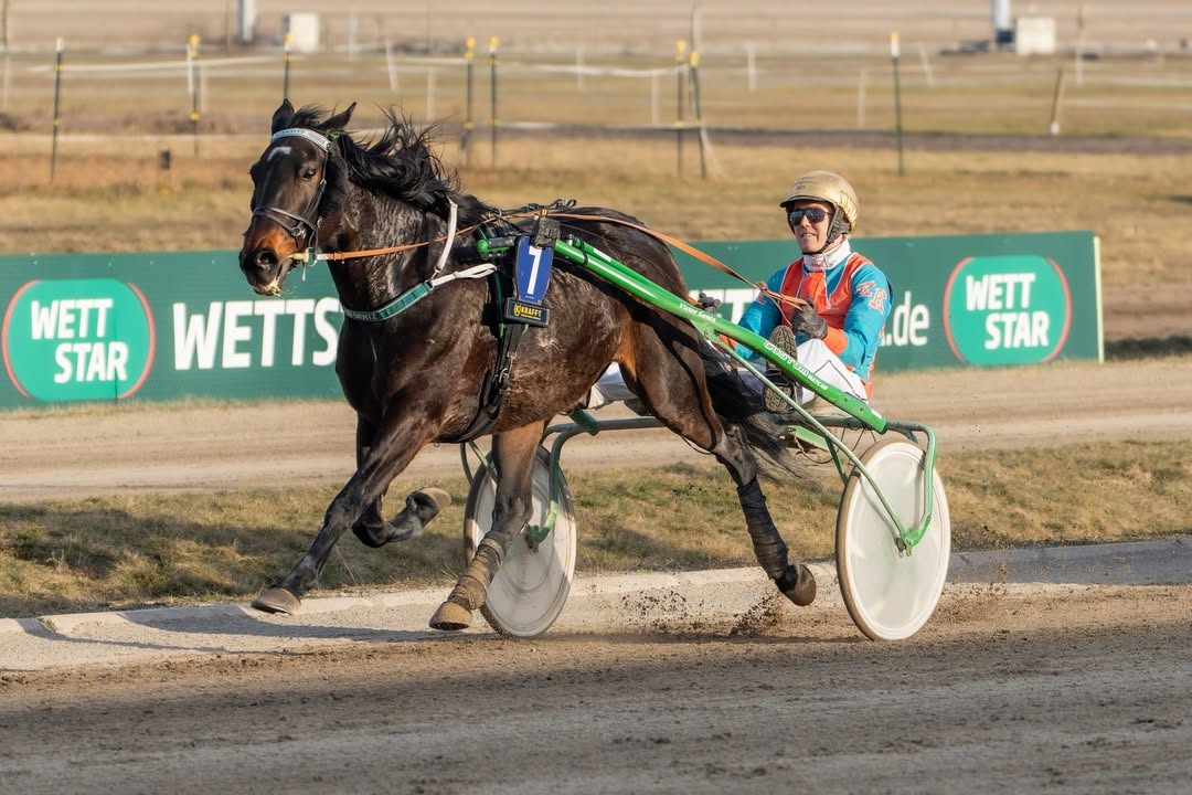 Tolle News aus der Hauptstadt 🤩 Das Team von WETTSTAR.de und der...