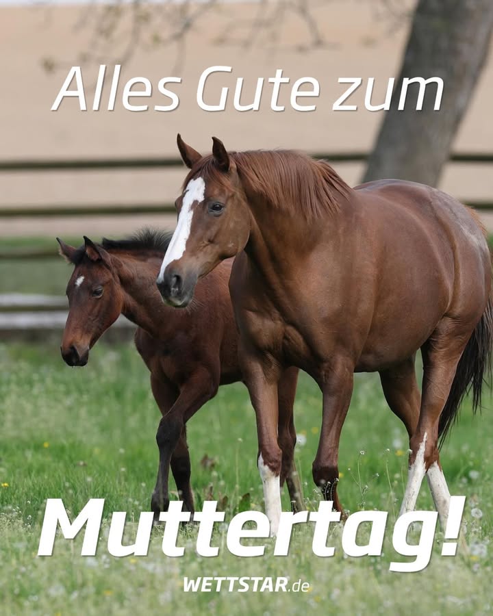 Das ganze Team WETTSTAR.de wünscht allen Müttern, egal ob zwei- oder vierbeinig,...