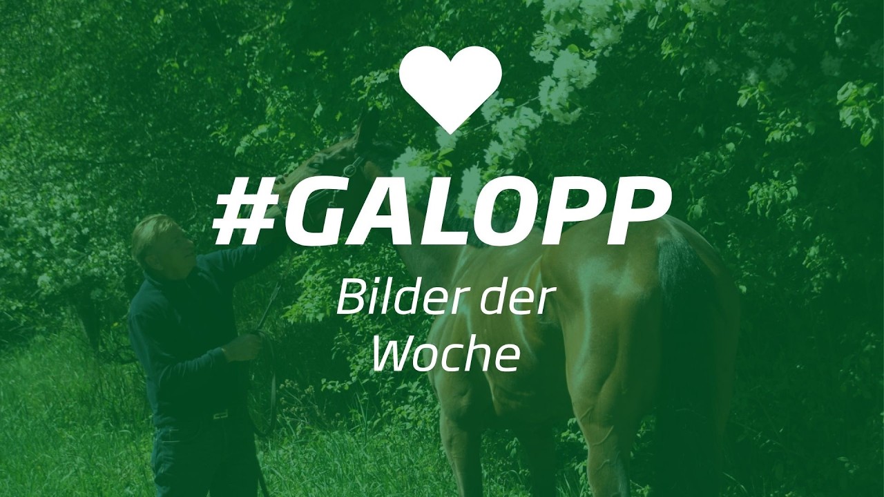 Die Bilder der Woche #galopp KW21