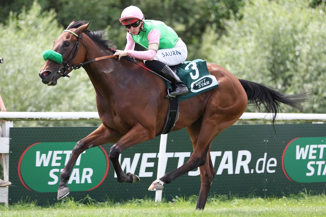 Wir haben am heutigen Donnerstag wieder einen Tipp in der WETTSTAR-Serie "Deutsche...