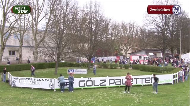 Hals und Bein beim Renntag des Pfälzischer Rennverein Zweibrücken