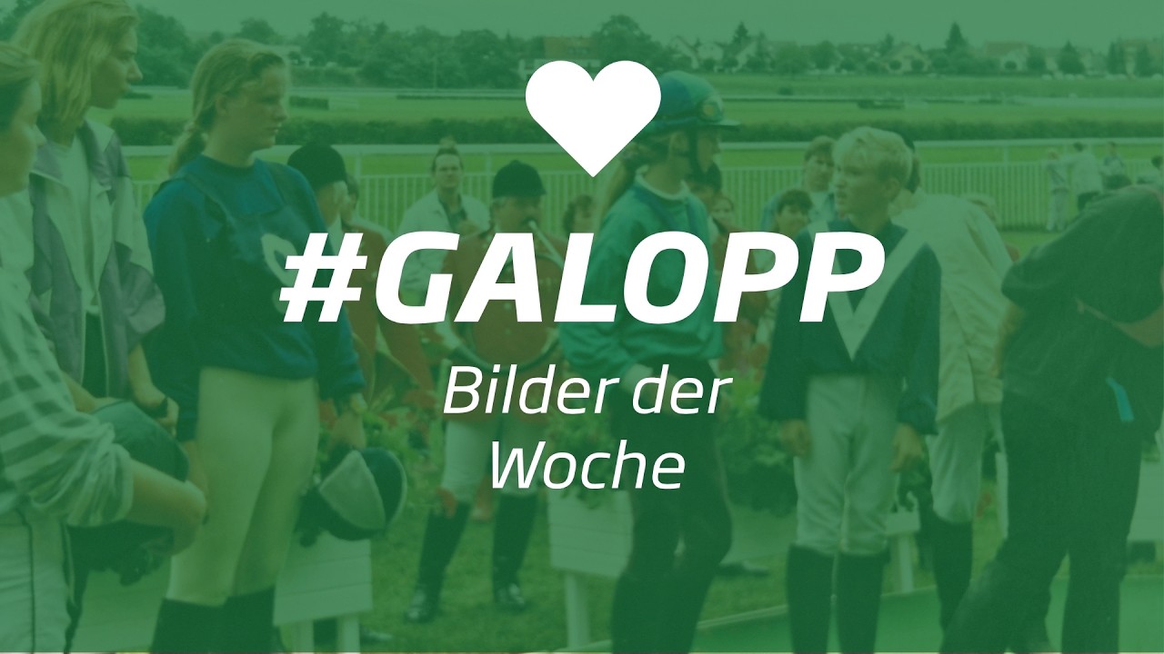 Die Bilder der Woche #galopp KW36
