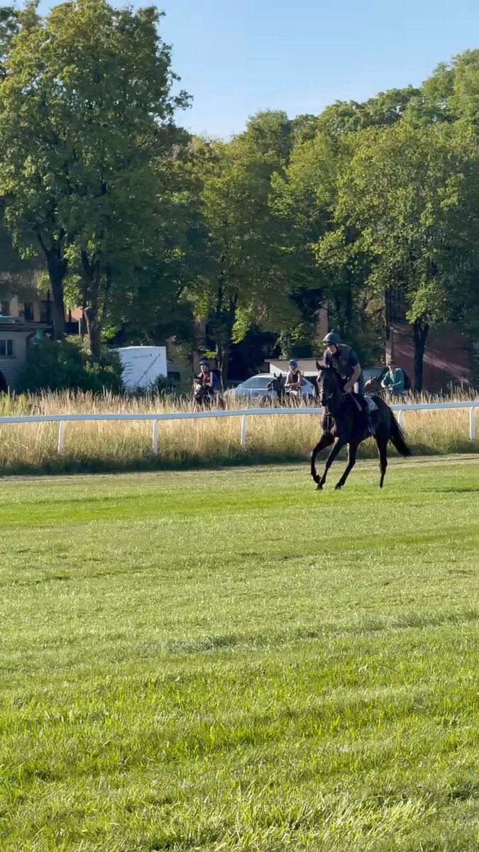 RT by @wettstar_de: RT by @wettstar_de: Wimbledon Hawkeye enjoys the morning in Munich 🇩🇪 prior the group 1 tomorrow @WorldPool @DeutscherGalopp @GScottracing @oismurphy @Victorious_xiii