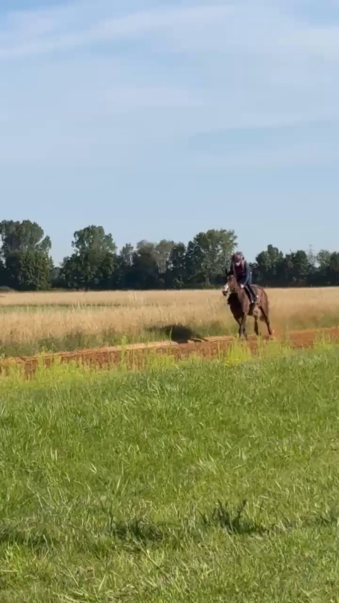 RT by @wettstar_de: RT by @wettstar_de: Wemightakedlongway (IRE) enjoys the german sun this morning. He will be one of the contenders in Großer Dallmayr Preis 2026 tomorrow @JosephOBrien2 @DeutscherGalopp @GaloppMuenchen @wettstar_de @DylanBrowneMcM @WorldPool