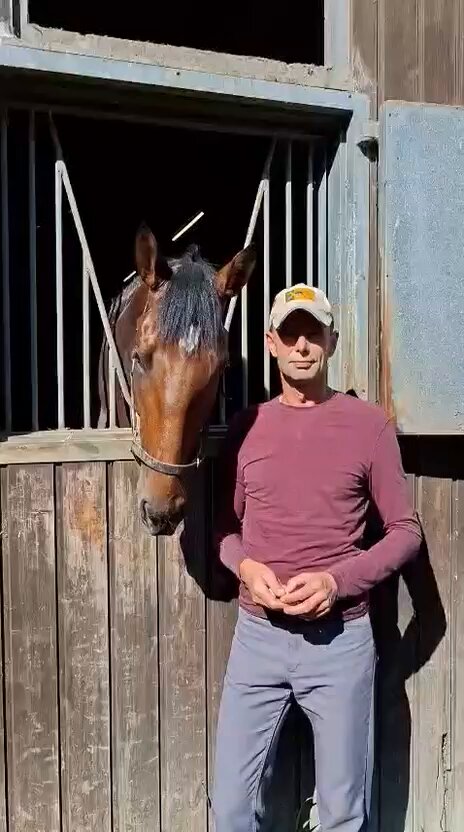 RT by @wettstar_de: ENGLISHMAN is one of the leading hopes for the home team in Sunday’s G1 Deutsches Derby! 🇩🇪 Hear what trainer Marcel Weiss has to say on his chances. 👇 #WorldPool