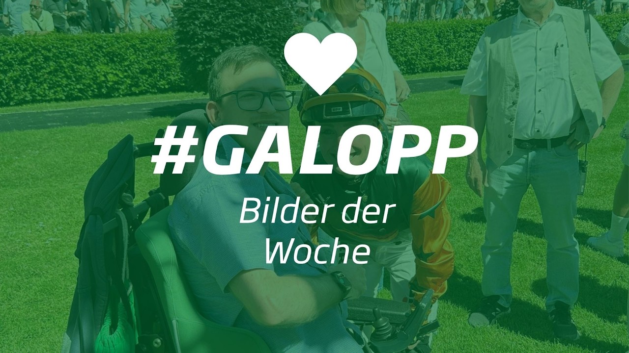 Die Bilder der Woche #galopp KW23