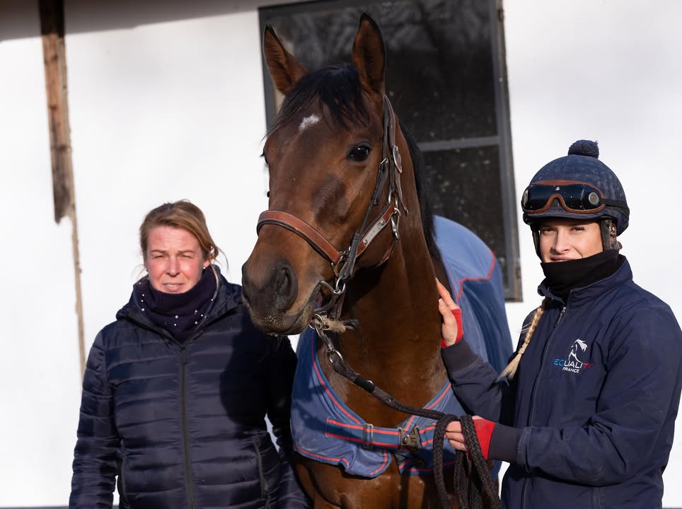 Hochkönig wird Galopper des Jahres 2025! (PM Deutscher Galopp) Mit 41,7 Prozent...